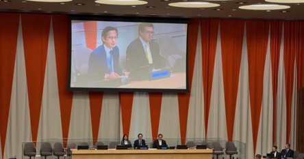Vietnam chairs consultation session on review conference of treaty on nuclear non-proliferation